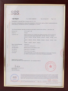 力源电池SGS证书